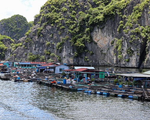 Chilika